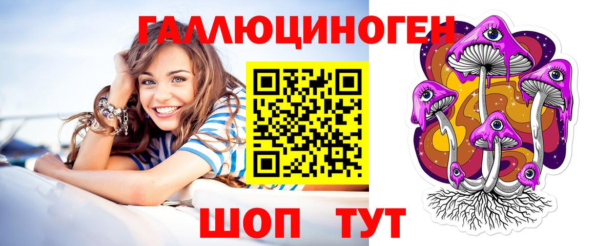 Галлюциногенные грибы Psilocybe Ревда