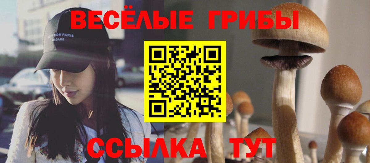 Псилоцибиновые грибы Psilocybine cubensis  Вход с VPN  Галлюциногенные грибы Magic Shrooms  Ревда 