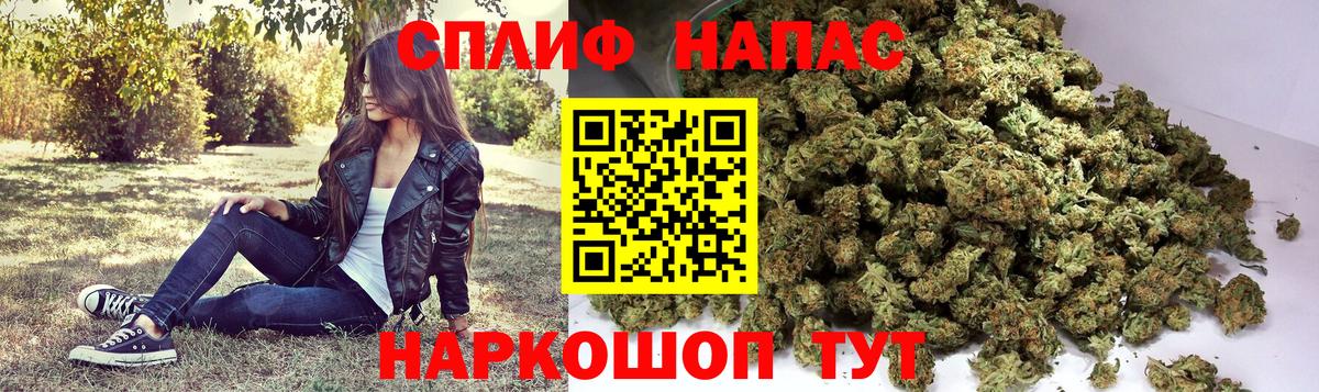 Ревда  Бошки Шишки план  Каннабис сатива  Каннабис VHQ  Вход с VPN 